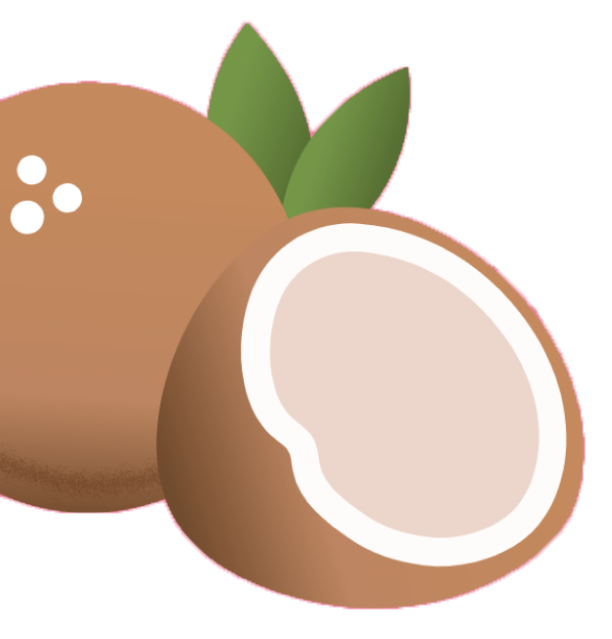 coconut